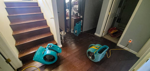 Best Flood restoration services  in West Crossett, AR