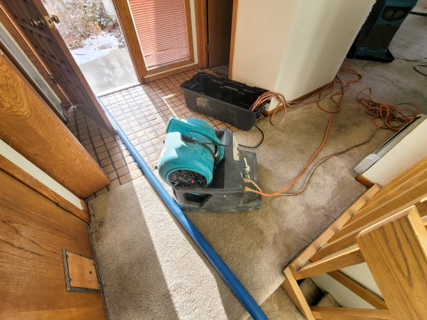 Best Flooded house restoration  in West Crossett, AR