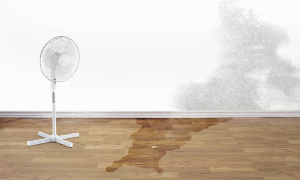 Best Fire Damage Restoration  in West Crossett, AR