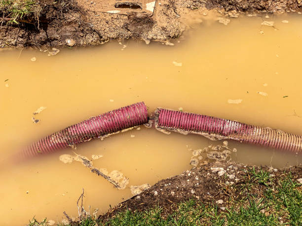  West Crossett, AR Water damage restoration Pros