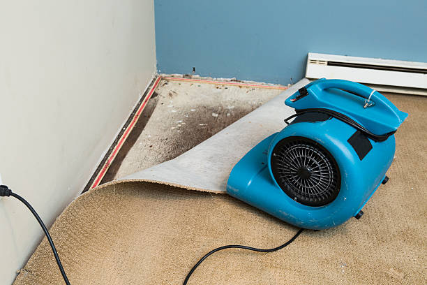 Best Water damage restoration insurance claims  in West Crossett, AR